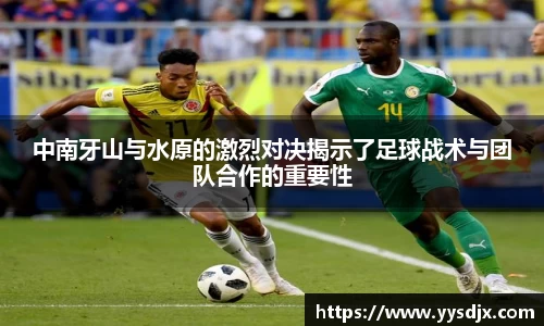中南牙山与水原的激烈对决揭示了足球战术与团队合作的重要性
