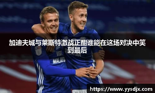 加迪夫城与莱斯特激战正酣谁能在这场对决中笑到最后