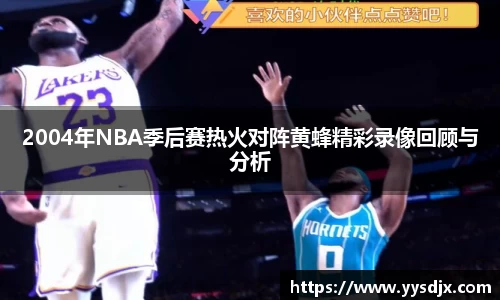 2004年NBA季后赛热火对阵黄蜂精彩录像回顾与分析