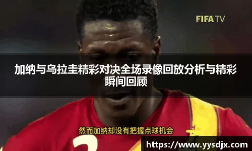 星空·综合体育官方网站